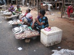 12-Fish market